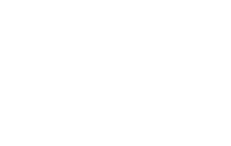 Flex-N-Gate logo