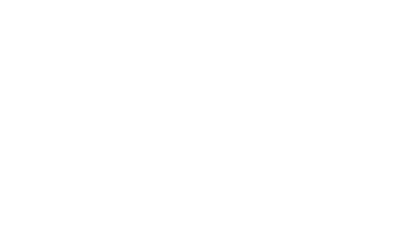 Flotronics logo