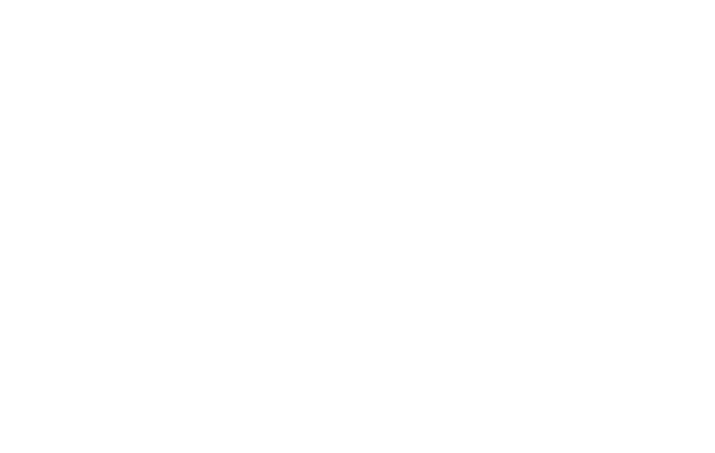 FLT logo