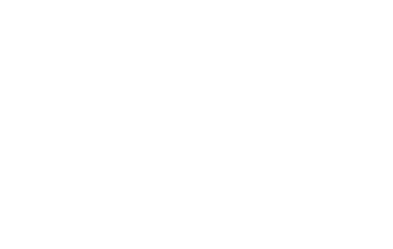 The Paslin Company logo