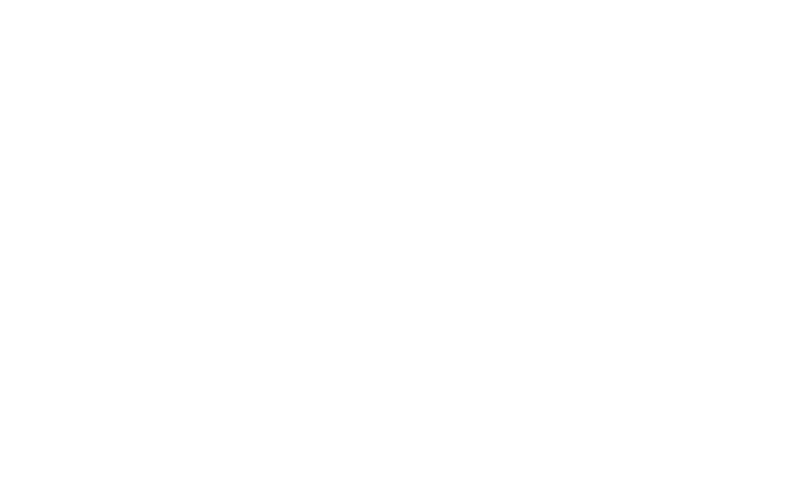 SW logo